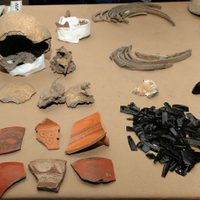 Hallan en Xochimilco restos de una mujer de al menos 700 años de antigüedad