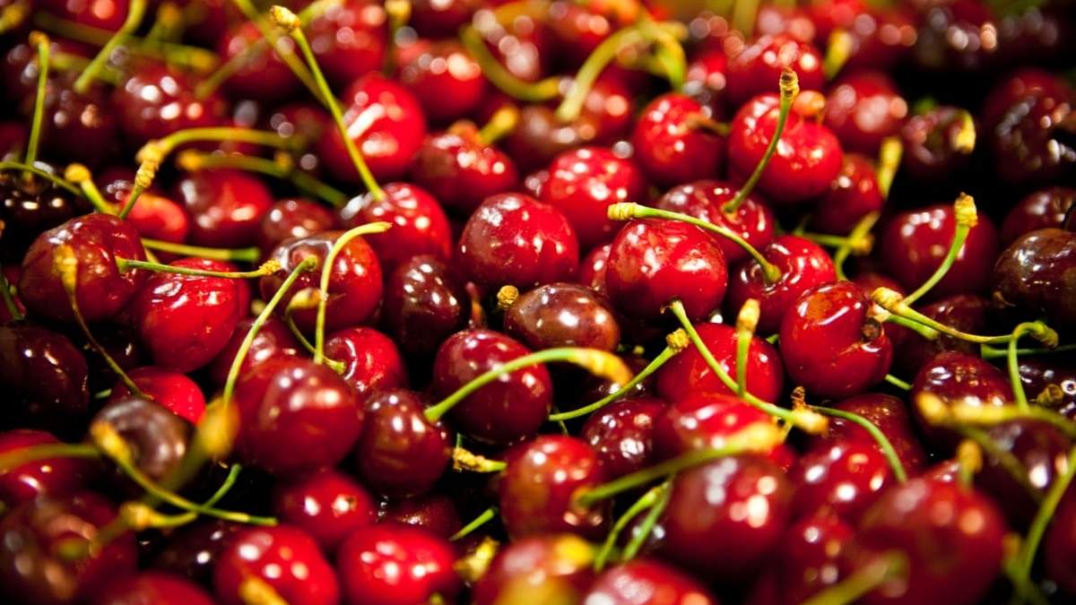Exportaciones argentinas en pandemia. Fuente: (Instagram)