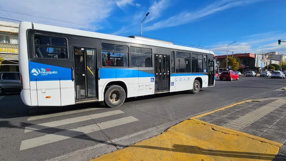 Servicio de colectivo en Neuquén Capital. Fuente: (Javier Manzano).