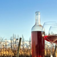 Exportaciones de vino argentino: suba en medio de la pandemia