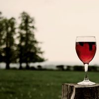 ¿Cómo se sobrepondrán las bodegas tras el coronavirus?