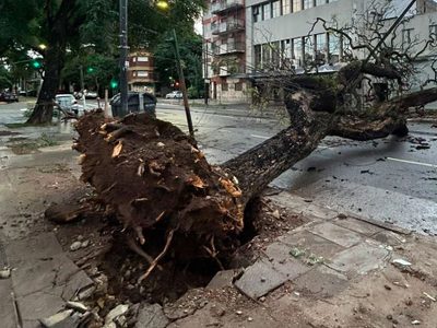El impactante saldo que dejó el temporal en Buenos Aires