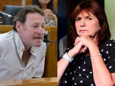 Ariel Kogan, el asesor presidencial, cruzó a Patricia Bullrich tras los cortes de luz
