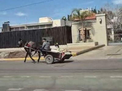 Guaymallén: llamado por la dignidad animal y la seguridad vial