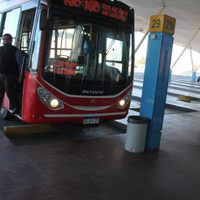 Nación habilitó el transporte terrestre internacional: qué hará Neuquén