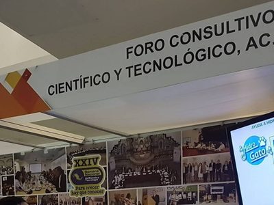 Excoordinadores del Foro Consultivo califican acusaciones de "sorprendentes e infundadas".