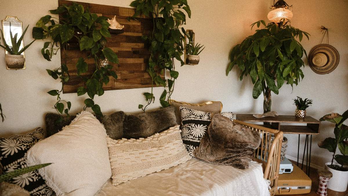 Aunque el aire sea seco, el crecimiento de las plantas suele ralentizarse en invierno.