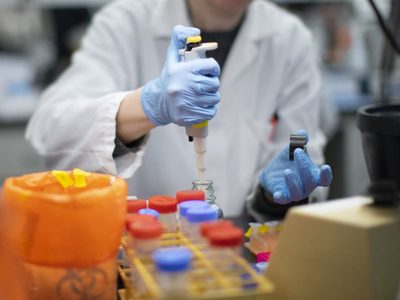 La cura del coronavirus cada vez más cerca: descubren un tratamiento capaz de detener la infección