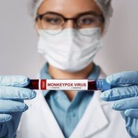 La OMS ve indicios de que el brote de viruela del mono "está disminuyendo" en Europa