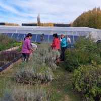 Plottier tendrá un laboratorio para el cultivo de tejidos vegetales in vitro