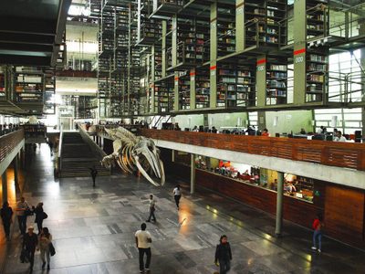 Deja Abraham Nuncio la dirección de la Biblioteca Vasconcelos
