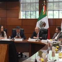 Ssa anuncia “herramienta estratégica” para detección de cáncer en niños y adolescentes