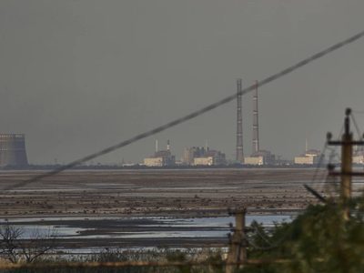 OIEA reporta minas antipersona alrededor de la central nuclear ucraniana ocupada por Rusia