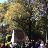 Acuden más de 25 mil personas a Los Pinos en cuatro horas (Videos)