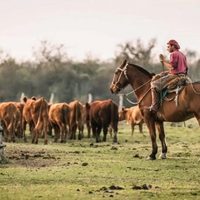 Homologaron la paritaria rural: a cuánto asciende el sueldo básico