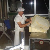 ¡Desesperados! Industriales lácteos advierten que se desplomó la venta de productos