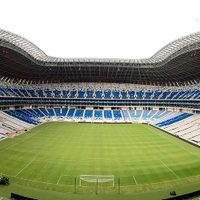 Fallas en el césped del Estadio de Rayados son provocadas por un hongo, dice Davino