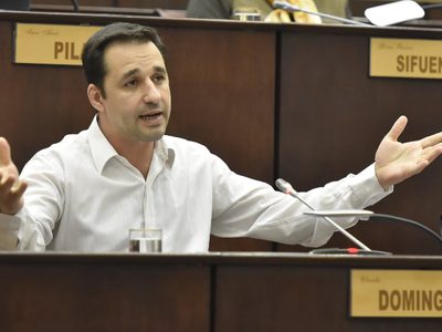 Claudio Domínguez sería el candidato a diputado por el MPN