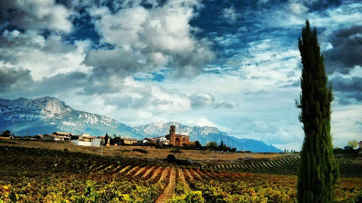Crecen visitas virtuales en Rutas del Vino de España. Fuente: (Twitter)