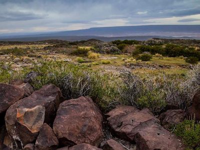Libres de coronavirus: dos localidades de Río Negro mantienen esa condición