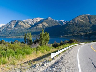 Asombroso: por la cuarentena, los animales silvestres se apoderaron de Bariloche