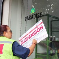 Cofepris va contra empresa de Fox: asegura productos de cannabis y suspende sucursal