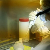Coronavirus en Río Negro: el último parte sobre los casos positivos y sospechosos