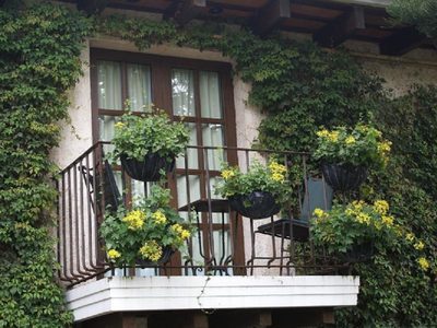 3 plantas perfectas para muros que le darán una onda natural a la fachada de tu casa