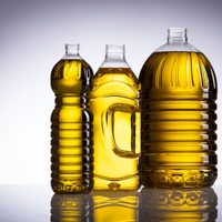 Reutilizá la botella de aceite que ibas a tirar y convertila en esta original maceta para tus plantas
