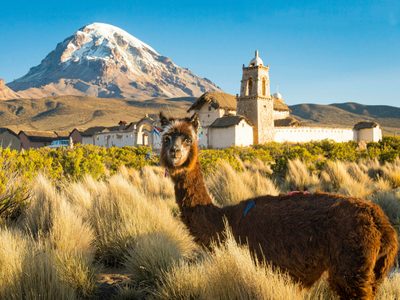 Multicrisis en Bolivia: el ajedrez político que se mueve tras seis meses de Rodrigo Paz en el poder