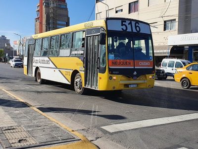 En sesión especial se tratarán los proyectos para la licitación del transporte público de Neuquén