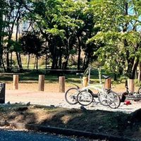 Bosques de Palermo: los fuertes antecedentes del conductor que atropelló, mató y huyó