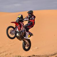 ¿Cómo finalizó el Dakar para los argentinos?