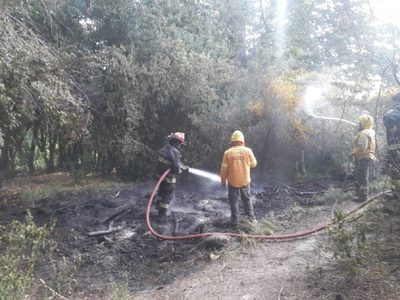 A pesar de las advertencias y prohibiciones, siguen las quemas forestales en la cordillera