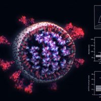 La mayoría de las personas están armadas de forma natural contra el SARS-CoV-2