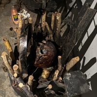 Hallan cráneos y restos humanos en casa de exfuncionario ligado a Cuauhtémoc Blanco, en Morelos