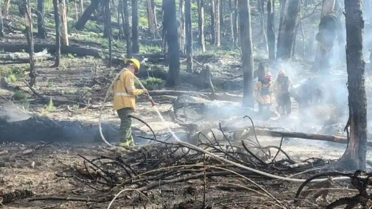 La secretaría de Emergencias de Neuquén informó que el incendio se encuentra extinguido. Fuente: (Facebook)