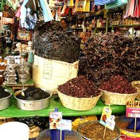 Estudian propiedades antiinflamatorias y analgésicas del chile serrano y del habanero