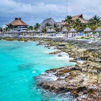 Fondo Mundial para la Naturaleza y UNAM luchan para salvar arrecife mesoamericano