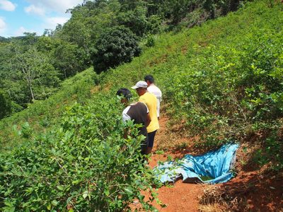 Perú admite crecimiento “exponencial” del narcotráfico y del cultivo de hoja de coca en la Amazonía