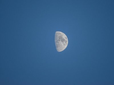 Calendario lunar de agosto: qué días elegir para cortarte el pelo y aprovechar al máximo la energía de la Luna en Argentina
