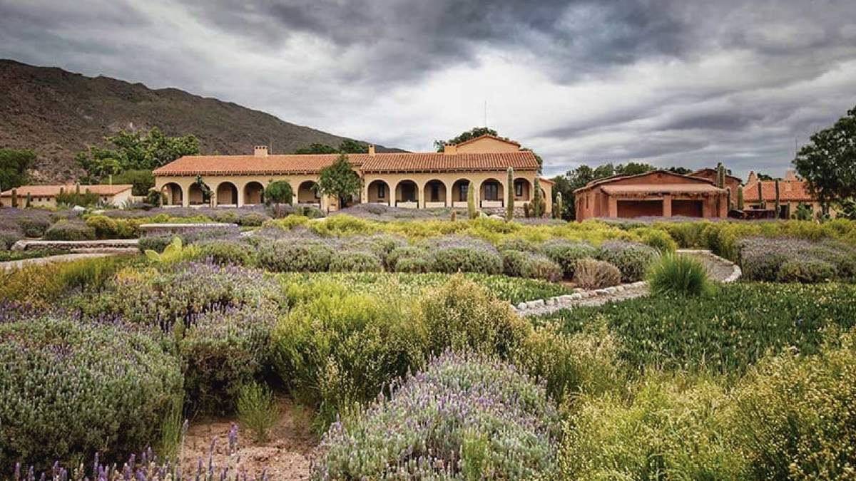 Preocupación de las bodegas. Fuente: (Instagram)