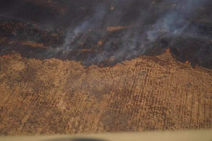 Una zona calcinada por los incendios en la isla de Maui