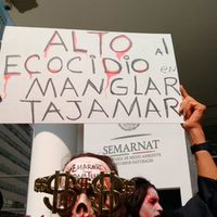 Activistas protestan frente a la Semarnat por ecocidio en Tajamar