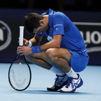 Novak Djokovic: derrota en el Torneo de Maestros y un fuerte revés recibido desde la ATP