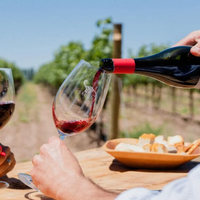 Para no perderse: te hablamos sobre la Ruta del vino de Neuquén