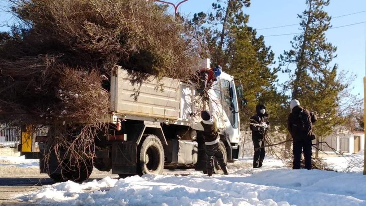 Personal de la Subsecretaría de espacios Verdes con arduo trabajo en todo el ejido municipal. Fuente: (Twitter).