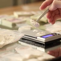 Incautaciones históricas de cocaína en Europa, revela el Observatorio europeo de las drogas
