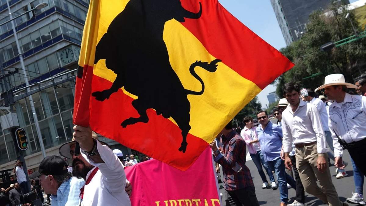 Futuro de corridas de toros, en manos de la Corte
