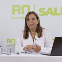 Mercedes Ibero renunció al Ministerio de Salud de Río Negro: los motivos